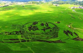 助力乡村振兴、推进合作新模式