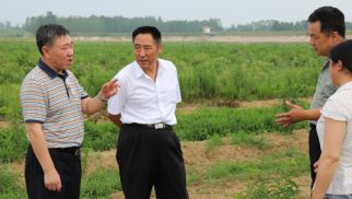 集团监事会主席肖厚志一行莅临&ldquo;中景农科公司&rdquo;审计、检查、指导工作