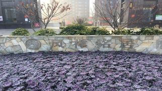 凤祥铭居二期顺利交房，业主喜获新居